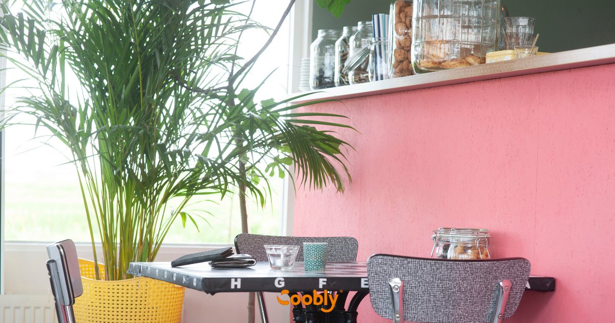 Wil jij een eigen business starten dat jou helpt met jouw leefwensen en doelen?

Alles is al tot je beschikking,  de kennis, de techniek...
Het is nu tijd om daar gebruik van te maken.

Hoe je dit doet, lees je in dit artikel op de Coobly blog >> hubs.ly/H0njpjR0