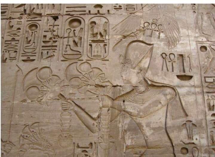 "" إذا أنخفض منسوب النهر فليهرع كل الجنود ولايعودون إلا بعد تحرير النيل مما يقيد جـريــانـة   ""

عبـارة منقـوشـة علـي جـدران مقيــاس النـيــل بالمـنيــل !!!!!

🌹ربنـا يحفظ بلـدنا مـن كـل شـر🌹#صباح_الاربعاء #صباح_الخير