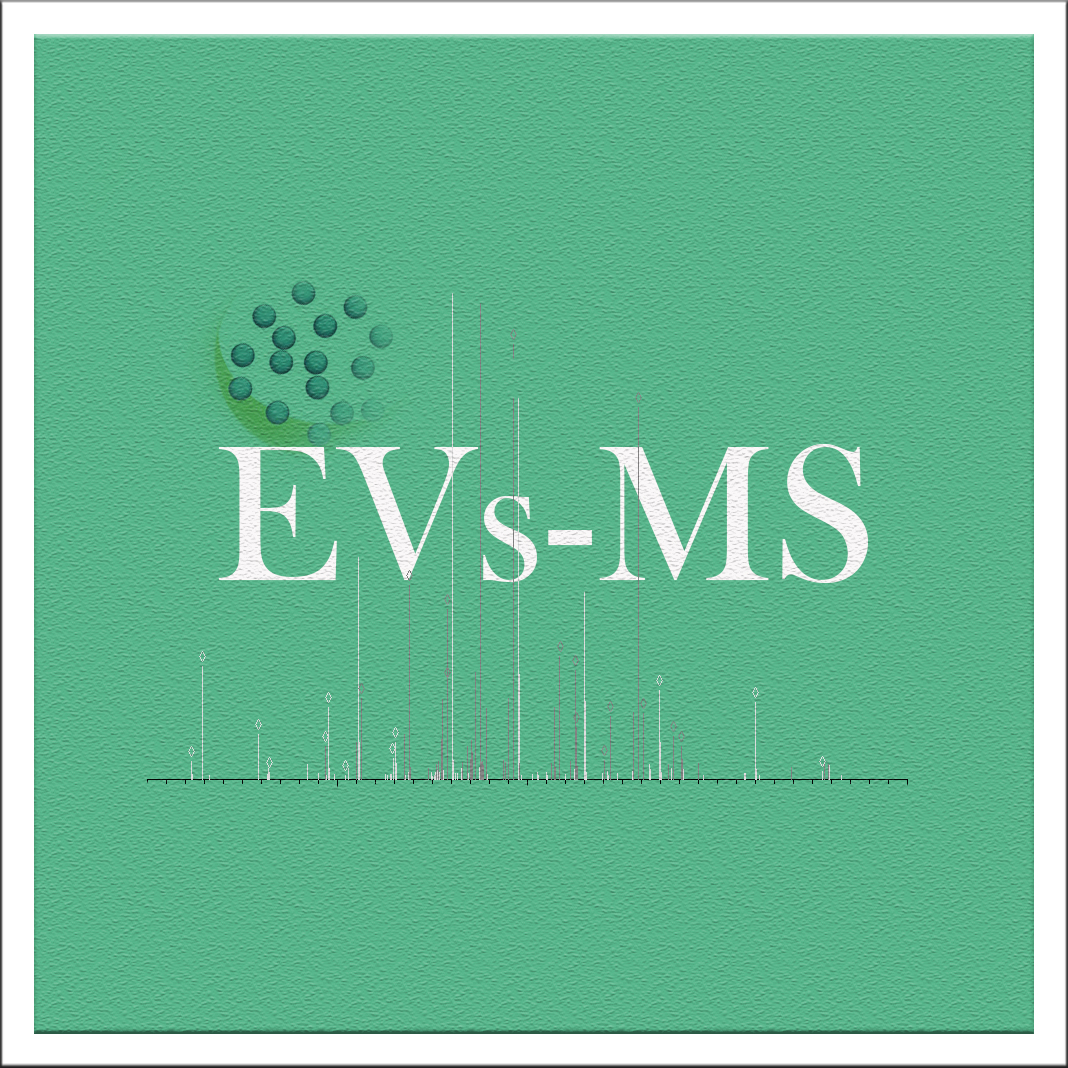 GabriellaPocsf1's tweet photo. We are heading an amazing talk of @ClaudiaTorty on Ancient cell-cell communication through Extracellular Vesicles #EVs at "Seminar series on Extracellular vesicles 2020 – Napoli" organized by #EVs-MS and sponsored by @ves4us and @EVItaSociety 
Register: https://t.co/UHj4S73leN https://t.co/uwd3ro9AWo