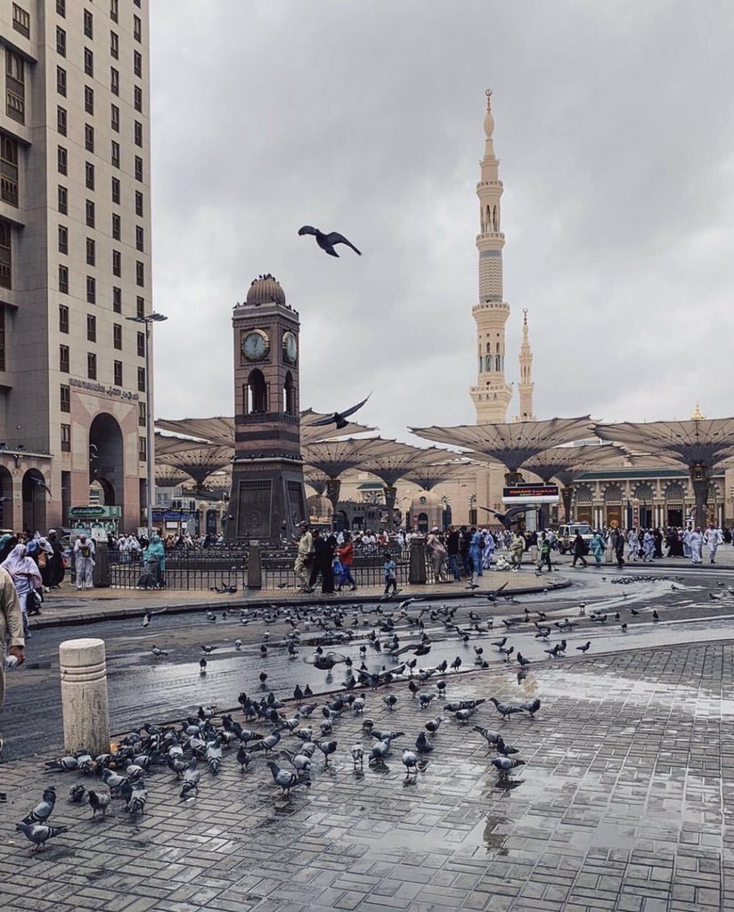 334tTorke's tweet photo. #عطنا_صوره_لديرتك.                                              ﻛﻞ ﺍﻟﻤﺪﺍﺋﻦ ﻭﺇﻥ ﺟﻠّﺖ ﻣﺤﺎﺳﻨﻬﺎ 
ﻟﻴﺴﺖ ﻛﺎﻟﻤﺪﻳﻨﺔ ﺇﺟﻼﻻ ﻭﺇﻳﻤﺎﻧﺎ 🤍. https://t.co/lac6OT42iv
