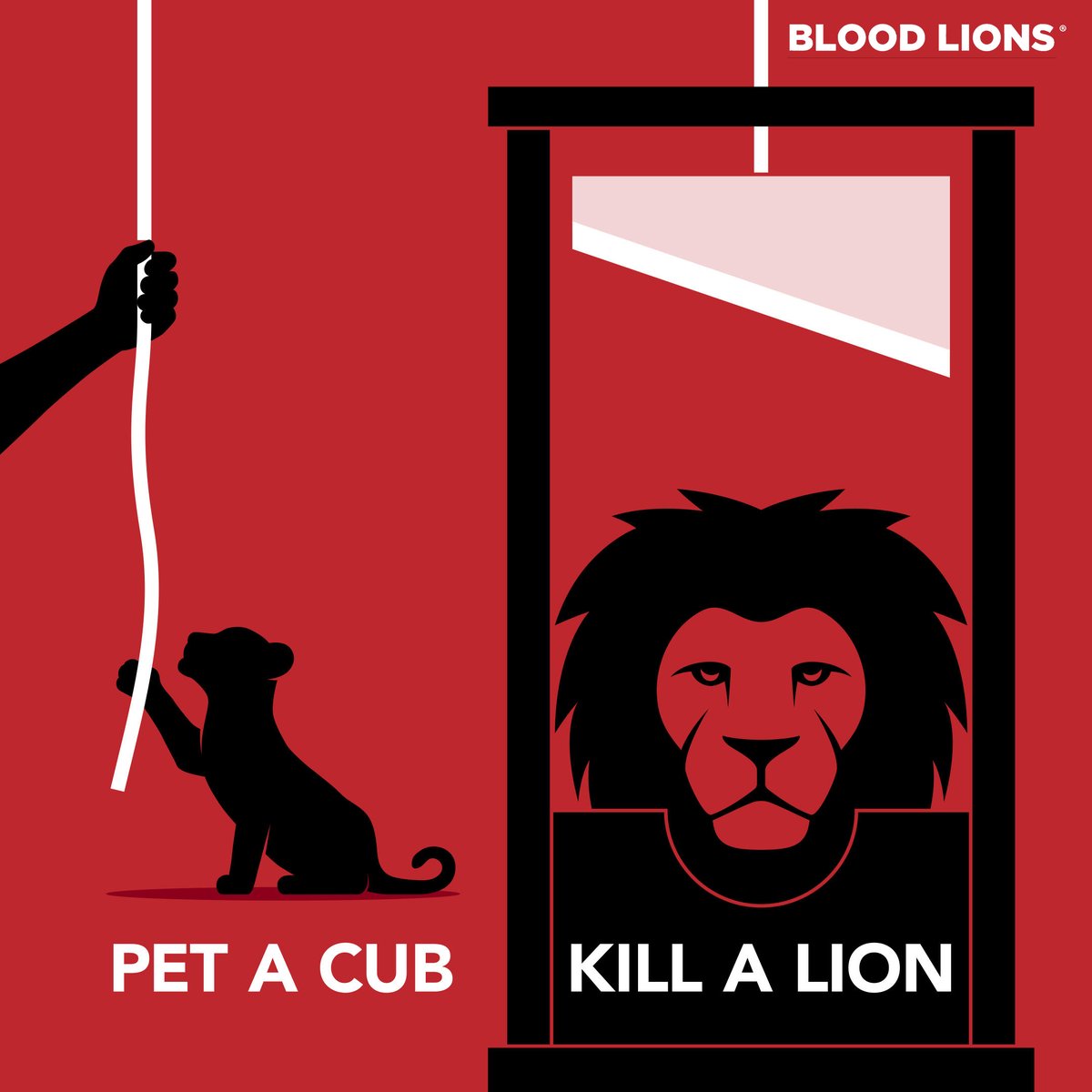 Blood_Lions's tweet photo. Pet a cub, kill a lion.
#BLOODLIONS
https://t.co/O7QOClWtLo https://t.co/3Yg4NjjWxz