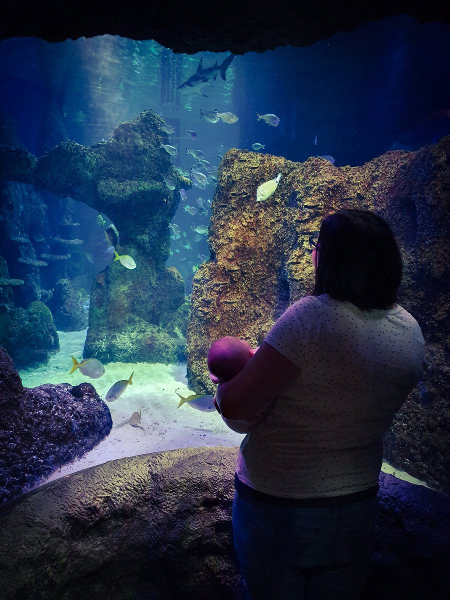Spent the day at <a href="/SEALIFEManc/">SEA LIFE Manchester</a> yesterday, celebrating Lucy's first #Birthday as a Mummy ❤
A day off before @nwfba2020 for <a href="/MumtothePower2/">Mum to the Power of Two</a> 😀