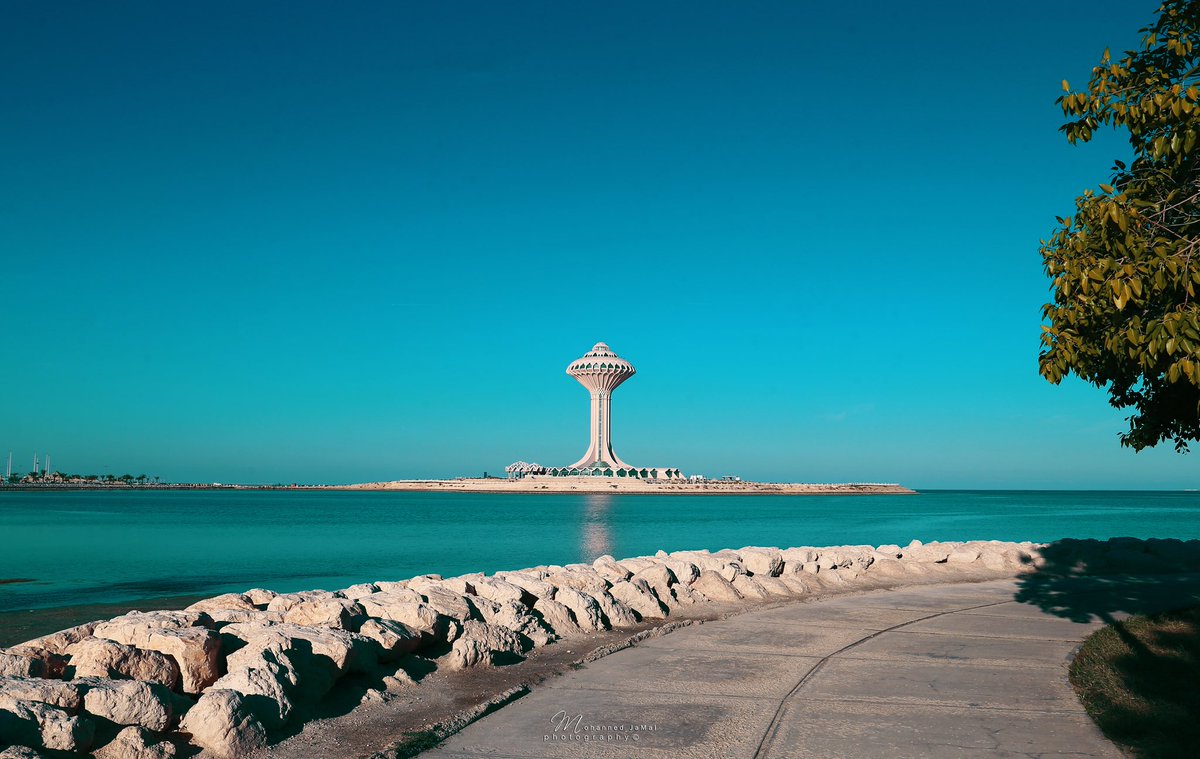 Mohanned Alyahya | مهند اليحيى tweet media