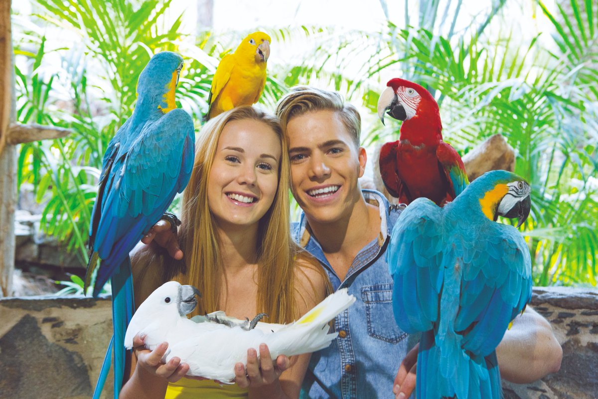 Ven disfruta de un gran día y sácate una simpática foto con nuestros papagayos. 🙌😍 palmitospark.es

#diversión #animal #mundoanimal #animals #natural #fun #animalworld