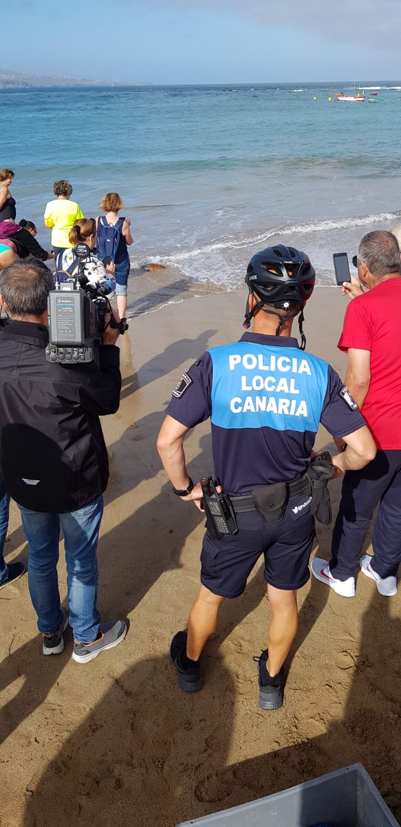 PoliciaLPA's tweet photo. Las suelta de tortugas en #LasCanteras siempre generan una bonita expectación.

En este caso, colaboramos en diciembre al recuperarlas en El Confital, enredadas entre redes de pesca...

No todas 🐢 corren la misma suerte. Cuidemos y compartamos este planeta, no es sólo nuestro. https://t.co/1kQf7v8rtV