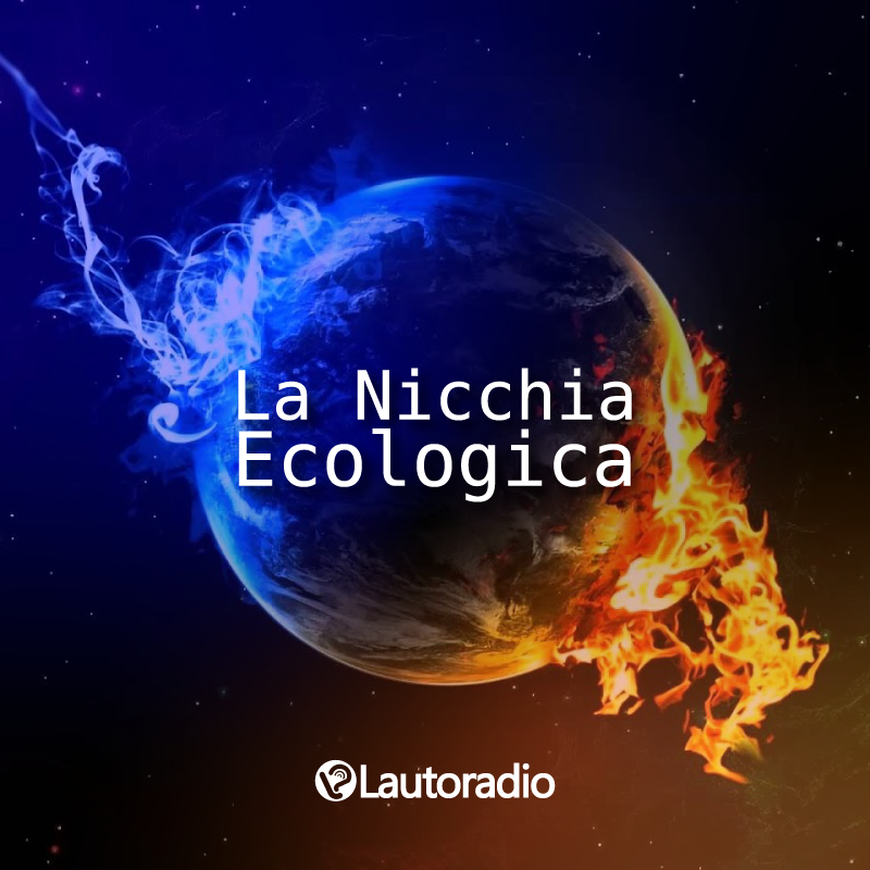 lautoradio's tweet photo. #LaNicchiaEcologica - nuovo programma di approfondimento su #ecologia e tematiche ambientali, di e con @maristellapit 

Primavera silenziosa - parte 1

https://t.co/vVIfboZVb3

#primaverasilenziosa #carson https://t.co/Yvu02RwYr4