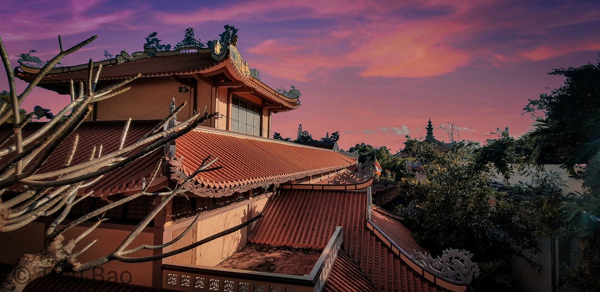 Vitieub54526311's tweet image. Cong cong mái chùa

#nhatrang
#longson
#vtbstudio
#vtbmultimedia
#A51