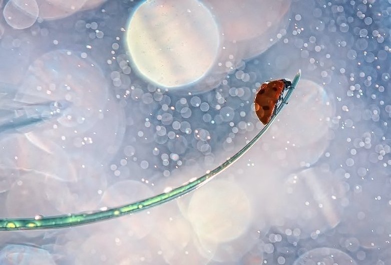 두려워 해야
할 것은

두려움 뿐이다

두려워 하지
않으면

두려운 일은
일어나지 않는다