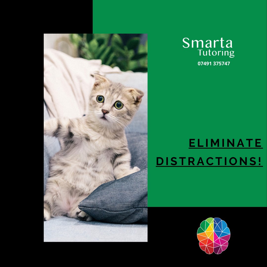 TutoringSmarta's tweet photo. How to better you or your child’s study techniques.

Here are some tips to do this:

-Change where you study 
-Get help, whether that’s a tutor or extra sessions
-No electronics in your designated study room
-Do not study with animals around

#smartatutoring #privatetutor #study https://t.co/PaUmHoGj3Z