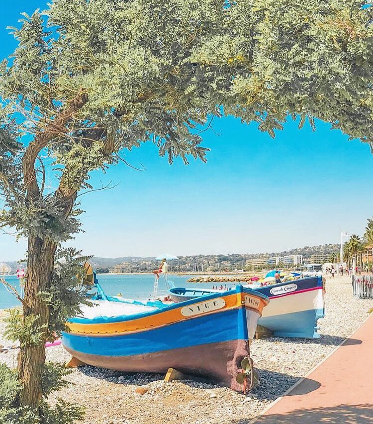 kefa06's tweet photo. Passez une agréable journée ☀️😊
#frenchrivieranice #frenchrivieraguidepaca #cotedazurfrenchriviera #iloveniceville #nicefrancesud #nicevillecotedazur #summernice #nicecotedazurfrance #Villefranche06 #unlimitedfrenchrivieranice #cotedazurlifeniceville #cotedazurniceprom https://t.co/iV4oU7R34h