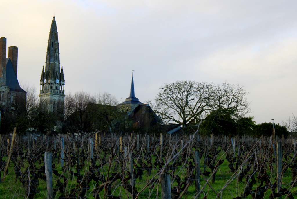Portrait de vignerons : Olivier Cousin lanjoudanslesvignes.wordpress.com/2020/03/04/por…