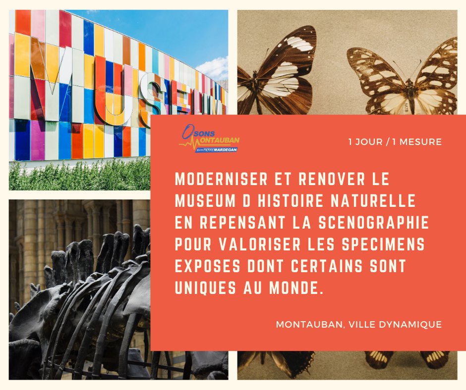Pierre Mardegan tweet media