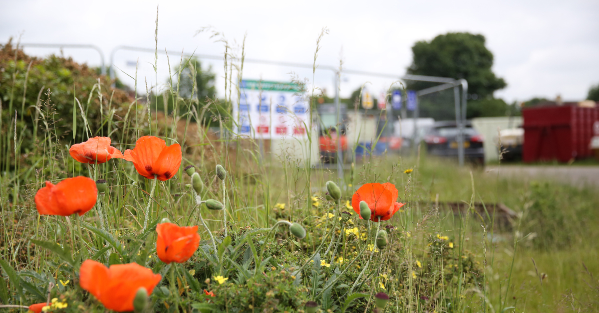 #stonbury invests in #renewableenergy 
We switched energy suppliers at four of our offices, reducing our #carbonfootprint #sustainability #environment #saveourplanet #waterindustry #waterenvironment #refurbishment #maintenance #newbuild 

stonbury.com/news/stonbury-…