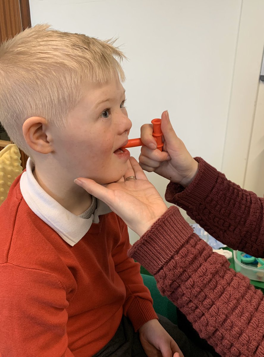 helloharvey's tweet photo. Working hard at speech therapy this morning #talktools #physiotherapy #speechandlangaugedelay #downssyndrome #inclusion #communication ๐๐ https://t.co/2OA9Yf0sGP