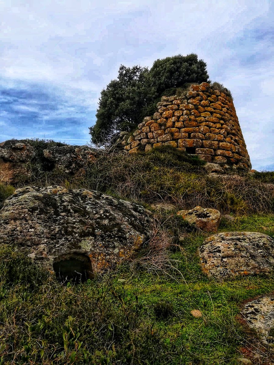 DiscoveringSar1's tweet photo. https://t.co/co8gnOXvCD
Nuraghe Abbauddi, monotorre in massi di pietra arenaria.Dal corridoio a destra parte la scala con 15 gradini.Altezza della torre m.9,15.
🤸🏻‍♀️🙆🏻‍♀️#sardegna #italia #photo #love #architecture #happy #art #beautiful #happy #archaeology #discoveringsardinia #arte https://t.co/m3FdeVxGjK
