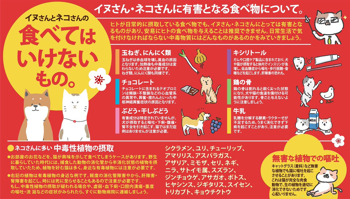 歳 Sur Twitter イヌ ネコ の食べてはいけないもの まとめです 人生で初めて仔犬と猫を飼い始めた姪とその家族宛に 大事に育て てくれたら良いなと思い作ったものです 皆さまのお家のイヌちゃんネコちゃんのための一口メモになれば 知らない猫の話 歳 Sur Twitter イヌ ネコ の食べてはいけないもの まとめです 人生で初めて仔犬と猫を飼い始めた姪とその家族宛に 大事に育て てくれたら良いなと思い作ったものです 皆さまのお家のイヌちゃんネコちゃんのための一口メモになれば 知らない猫の話