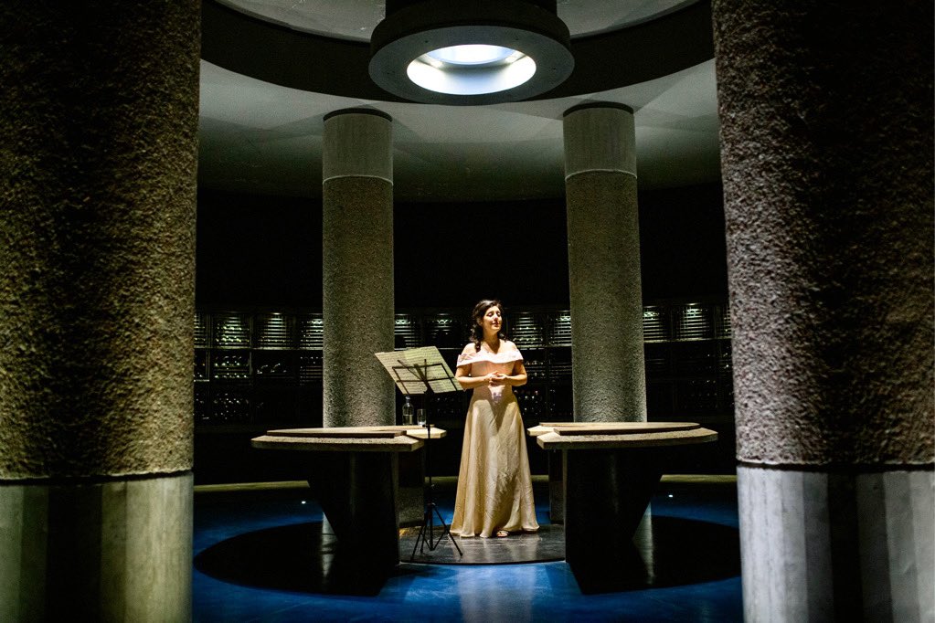 Bee 🐝 creará momentos clave 🎼 en tu noche. 🌙¡Contactanos!