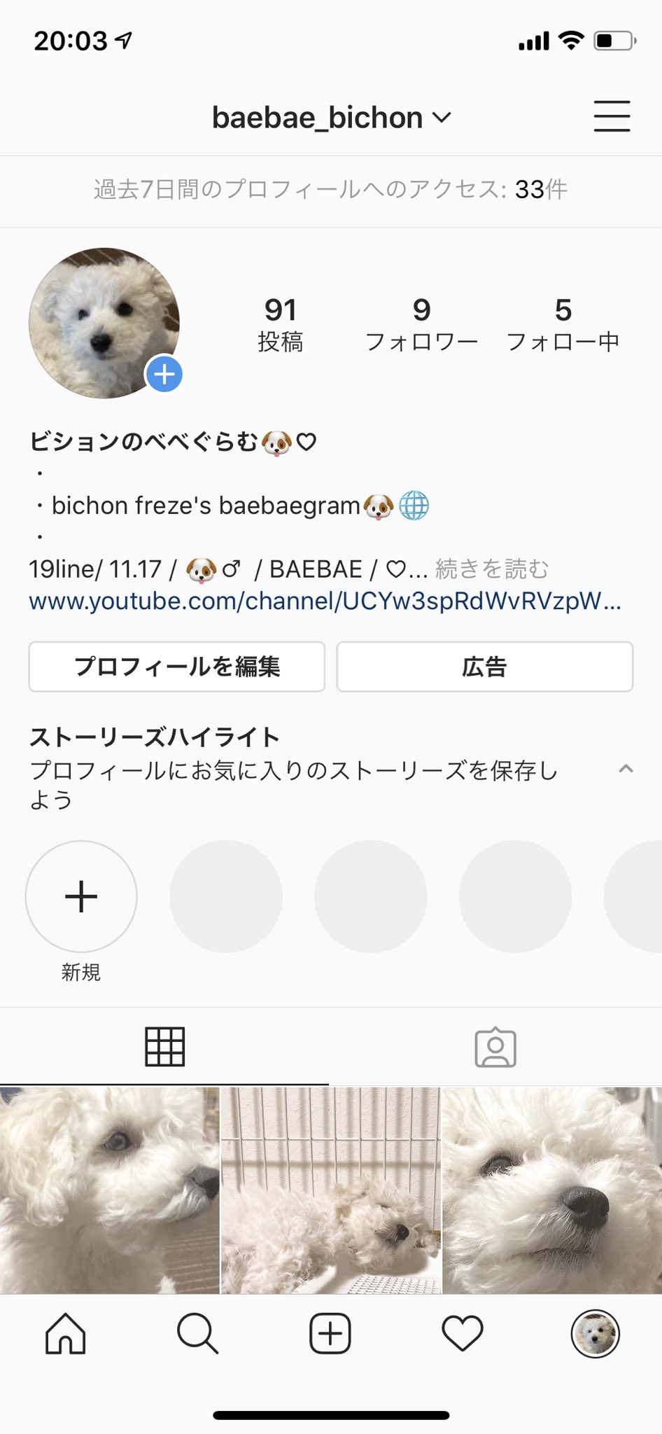 ビションフリーゼべべ君のちゃんねる Bae Bae1117 Twitter