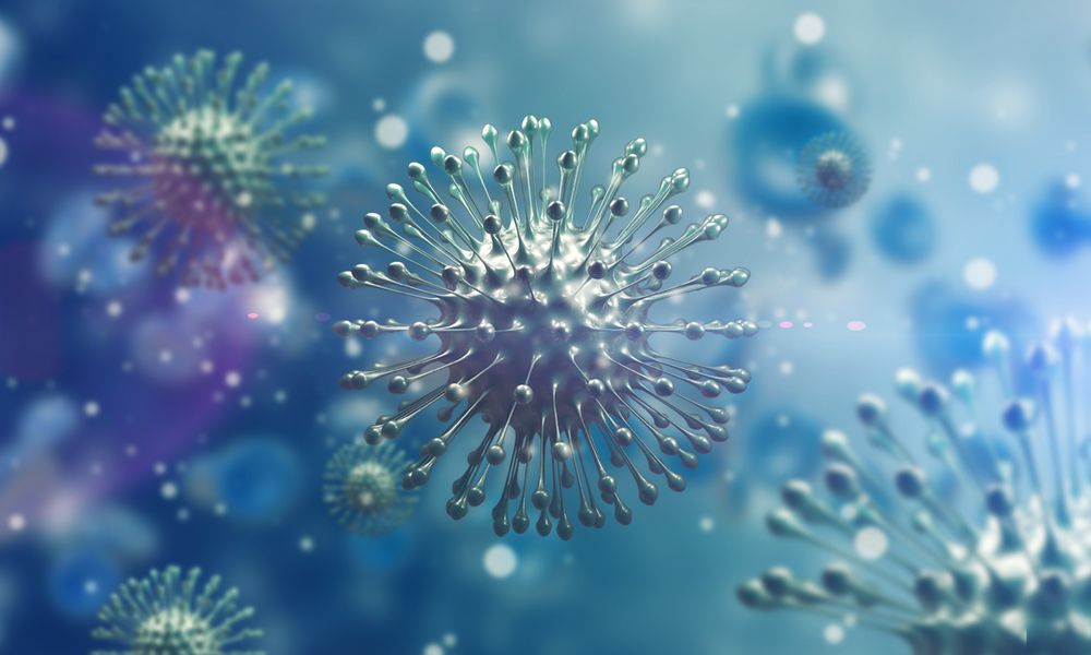 InventoryBase's tweet photo. Corona Virus - advice and guidance for Inventory Clerks. https://t.co/lY5iBBN45G
#coronavirusuk #publichealth #healthandsafety #inventoryclerk #propertymanagement https://t.co/iLjkvCAIPB