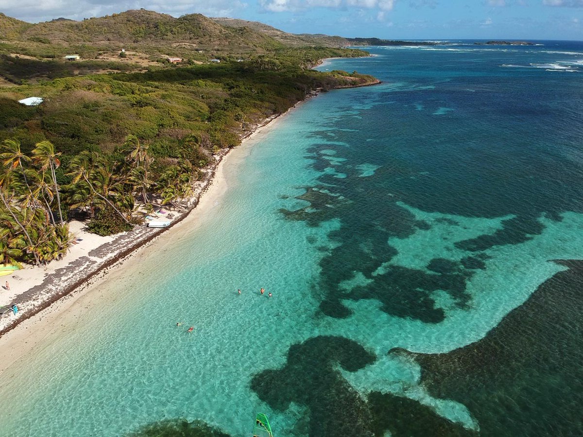 [NOUVEL ARTICLE] Notre 2nd voyage en Martinique 🌴☀️ Faire une destination pour la deuxième fois, ce que j'en ai pensé : aklanoa.com/notre-deuxieme… #voyage #blogvoyage #martinique