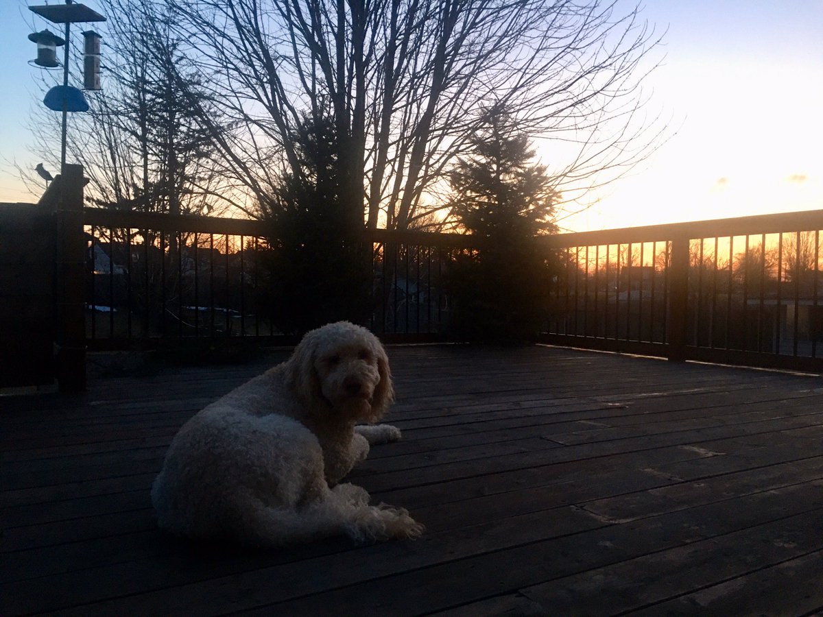 MarDemelo's tweet photo. Good morning #HamOnt  🌅 
#WednesdayMood 🥱 https://t.co/AbcdJqsMJA