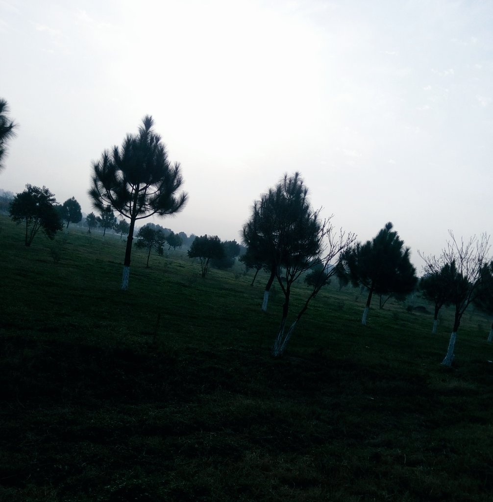 SoniaAshraf14's tweet photo. Mornings like these : ) 
An early morning walk is a blessing for the whole day. Such a mood refreshing
#morning #sunrise #coldbreeze #university #mood #morningwalk with #friends https://t.co/6X2B5sI6Xi
