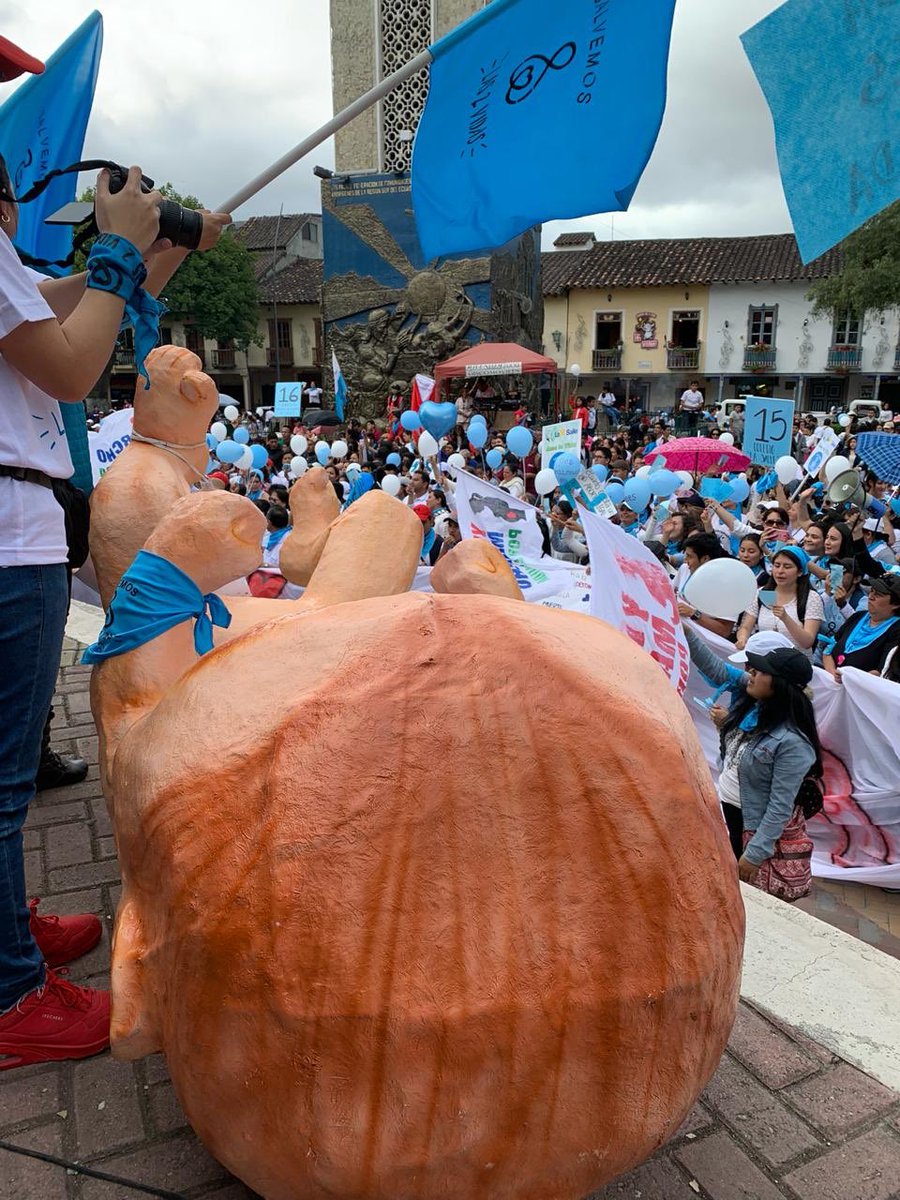 kiaravv20's tweet photo. El año pasado la #MarchaPorLaVida fue todo un éxito. Estoy muy emocionada de poder participar este año de esta gran caminata por la vida en #Loja.
Porque los derechos comienzan en el vientre.
Los esperamos!!!! #cuentaregresiva #prolifeisprolove 💙 https://t.co/jM9qCSwsvT