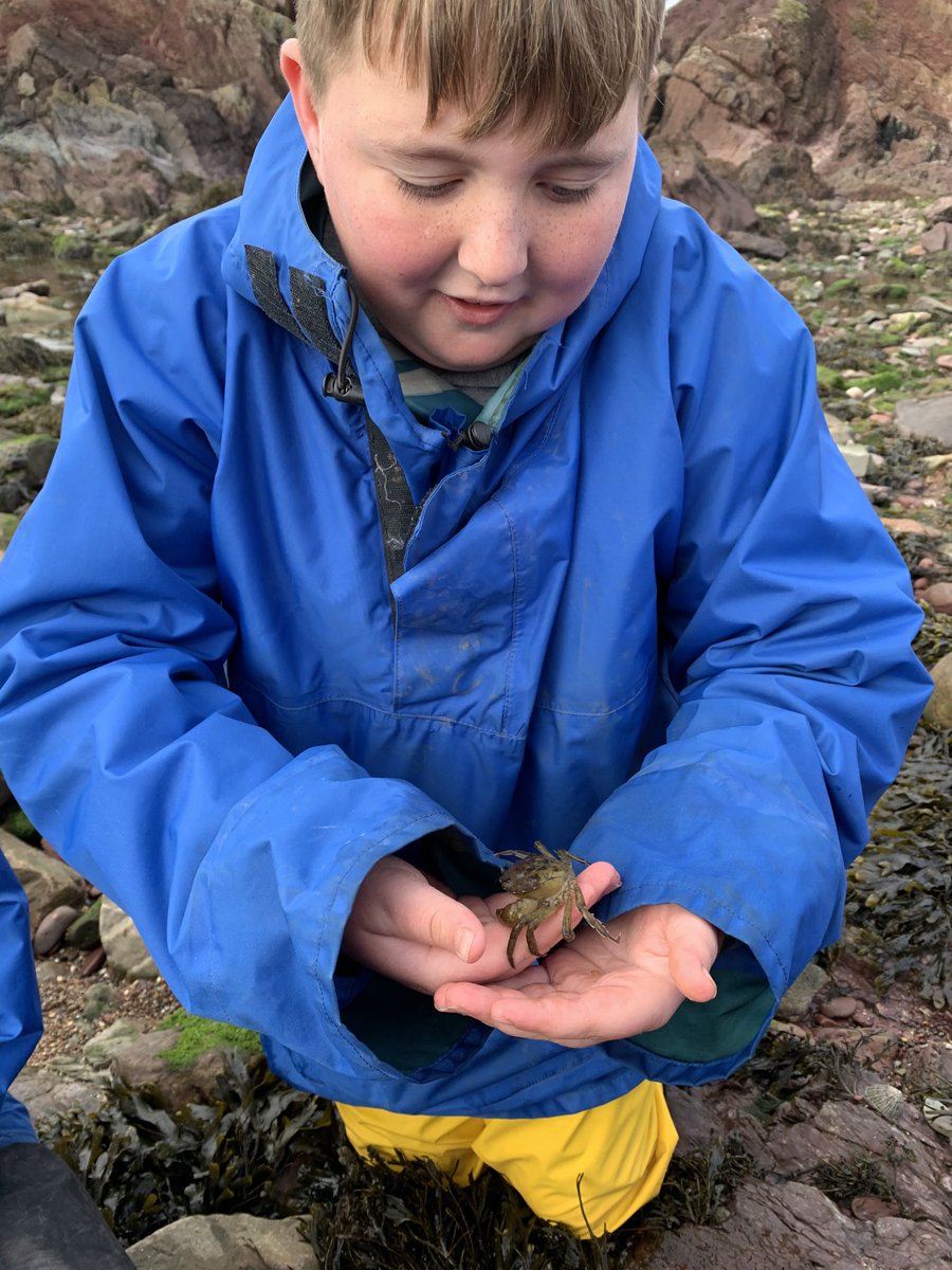 gladstonebarry's tweet photo. Year 6 #stackpole #rockpools #lookwhatwefound #limpets https://t.co/R1Cf81zH2w