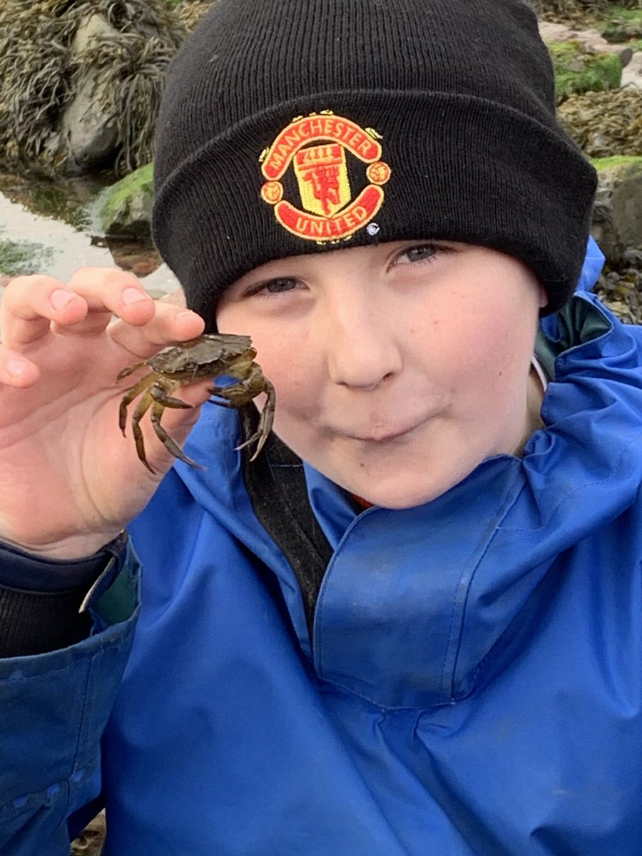 gladstonebarry's tweet photo. Year 6 #stackpole #rockpools #lookwhatwefound #limpets https://t.co/R1Cf81zH2w