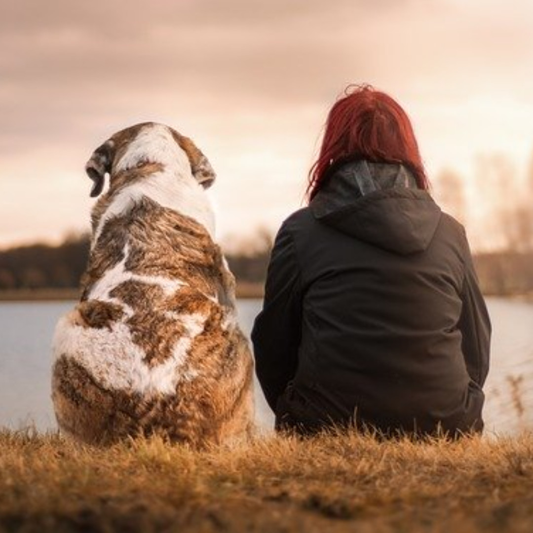 RedescubreLaEM's tweet photo. ¿Sabías que la disminución del estrés se cuenta entre los beneficios para pacientes con #EsclerosisMúltiple de convivir con un perro? Acariciarlo, jugar con él o sentir su cariño: muchos estudios certifican disminuye el cortisol, la hormona del estrés.

https://t.co/P0FQQAN9Y1 https://t.co/odOU2YyC3c
