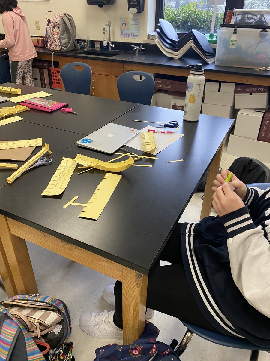 ChemMissC's tweet photo. 6th grade science creating paper rollercoasters to observe potential and kinetic energy! @DowellMS #mymisd #misdscience @KendraHenke https://t.co/6EFlqnLVqJ