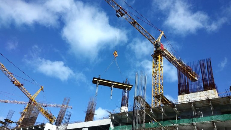 Doodgereden wolf was in topconditie, coronabesmetting gesprek van de dag in Kerkwijk, Arnhem en Nijmegen willen 60.000 huizen bouwen en we eten kip ketjap bij Olivia (10) in Huissen