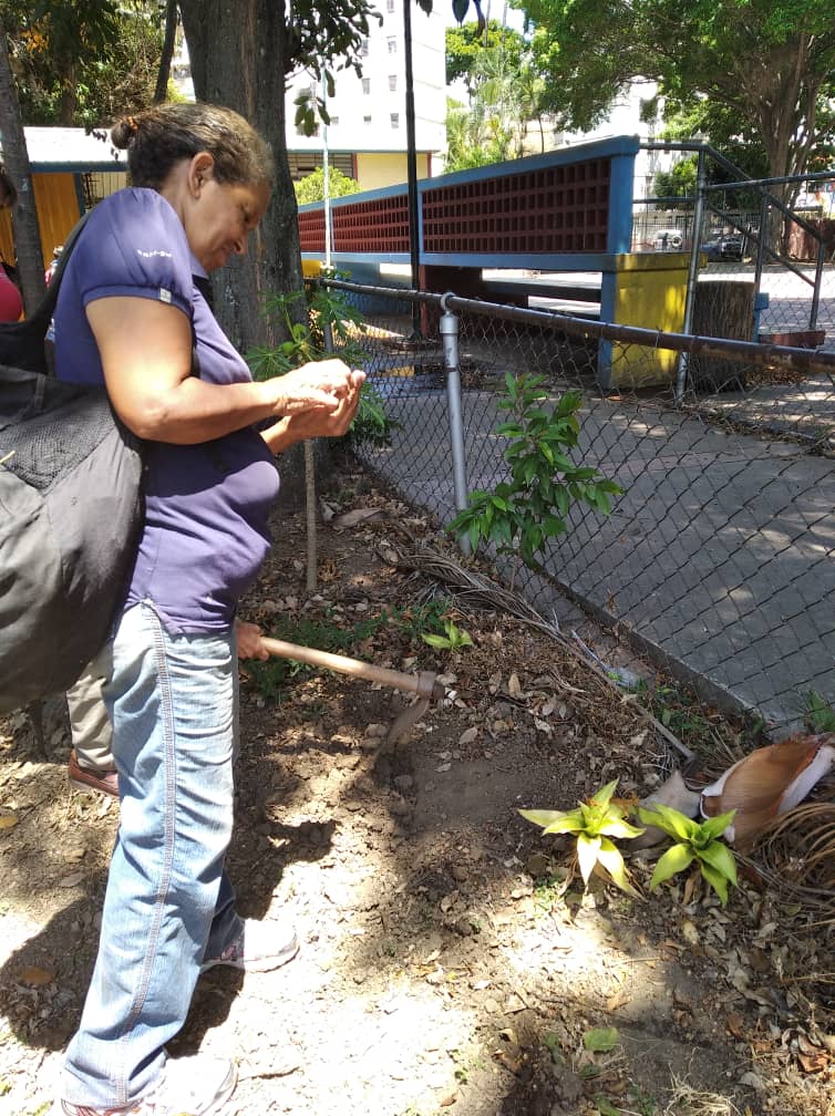 #InassAlDía
Adultos y adultas mayores y servidores públicos del CSSA de Coche, realizaron la siembra pimentón y aji dulce, gracias al programa de Gerogranja implementado por el INASS.
#ConstruyendoPatriaSocialista
<a href="/NicolasMaduro/">Nicolás Maduro</a> <a href="/gladysrequena/">Gladys Requena</a> <a href="/vmsfelicidad/">Viceministerio para la Suprema Felicidad Social</a> <a href="/Inass_GeroAldea/">Gerogranjas - Aldeas</a>