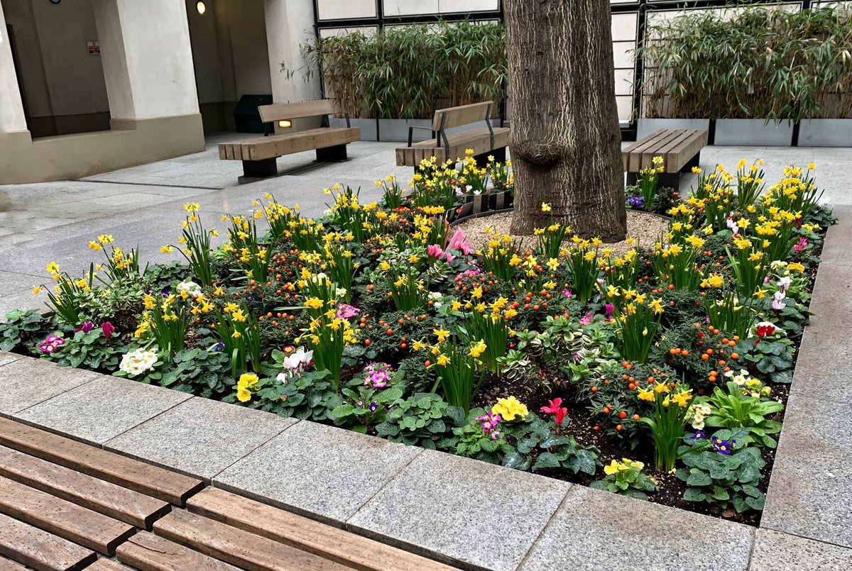 Check out this bright &amp; beautiful #spring display I spotted in #London today. This is by <a href="/GardenLiveryCo/">GardenLiveryCo</a> as part of their marvellous The Flowers in the City campaign. 🌸🌿#flowers #gardening #blooms