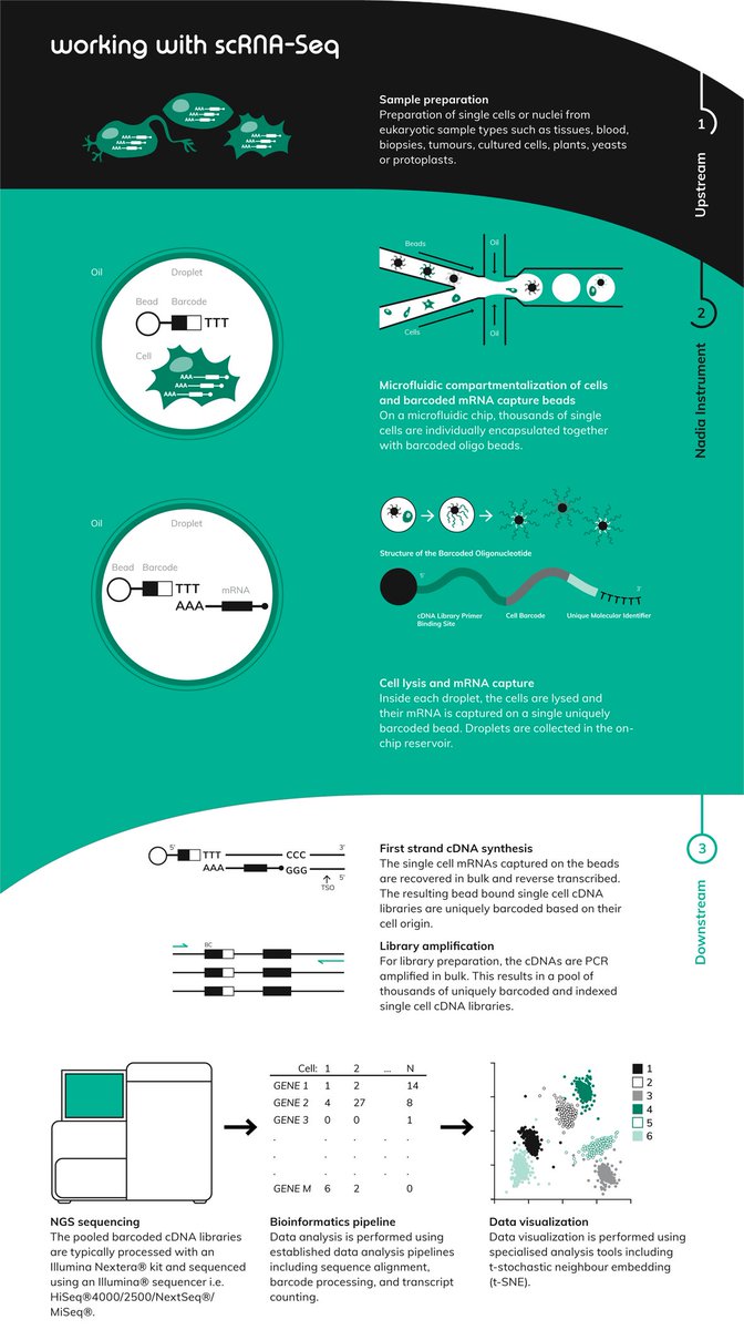 Drop-Seq. Automated #singlecell. Simple!
If you've not taken a look at Nadia check it out