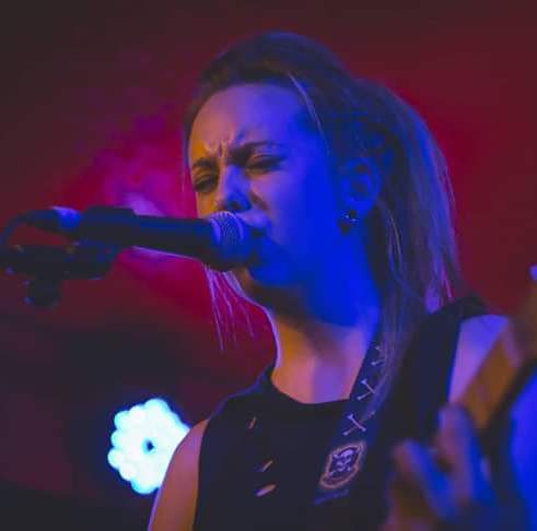 Bow Beehive tweet media