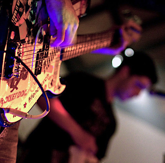 Bow Beehive tweet media