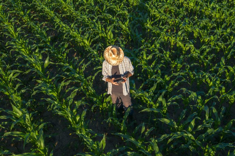 OnteraInc's tweet photo. Small farms dominate Chinese ag &amp; many are experimenting w/ precision tech. #Drones now help to work 4% of China’s farmland - that's ~4.5 million hectares, or an area slightly larger than Denmark! Learn more in this interesting @technodechina article. https://t.co/pgfXVz6r8x https://t.co/GQYW8JzIxu