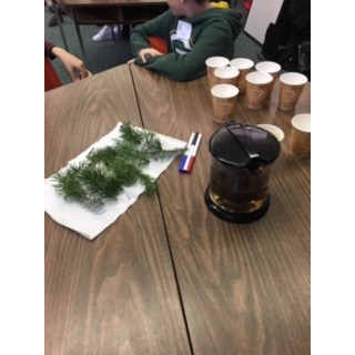 Scenes from Division Five's tea making workshop yesterday with people from UBC's Land and Food Systems.  Thank you <a href="/ubcLFS/">UBC Faculty of Land and Food Systems</a>!