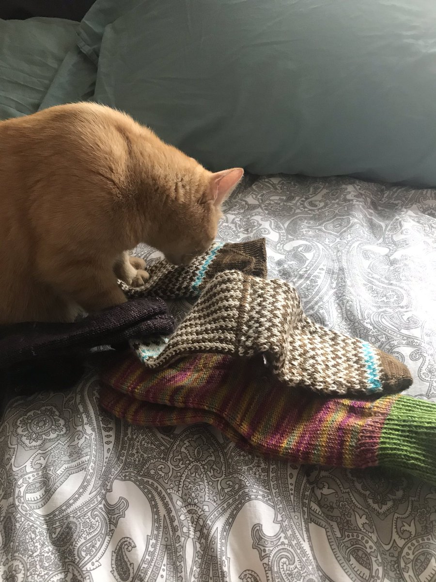 PurlingDervish's tweet photo. I can have hand knit socks too, right?#hiMo #thanksforthesocks #formenotmom #shetookoneunderthebed #igotitback https://t.co/sro0X3AtJG