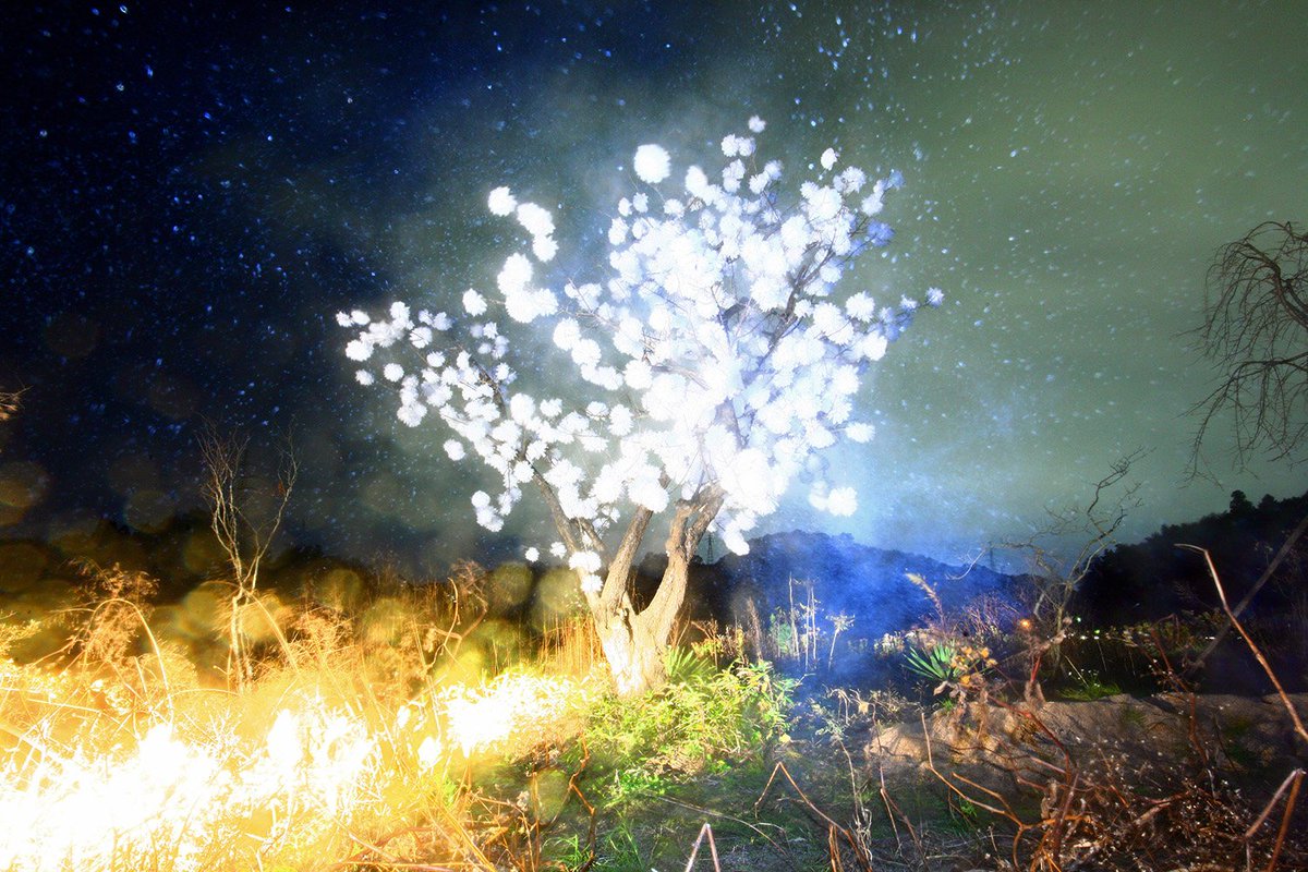 Surreal works by Japanese photographer Lieko Shiga, 2000s-10s, known for her eerie, atmospheric imagery often inspired by myths, fears, and dreams