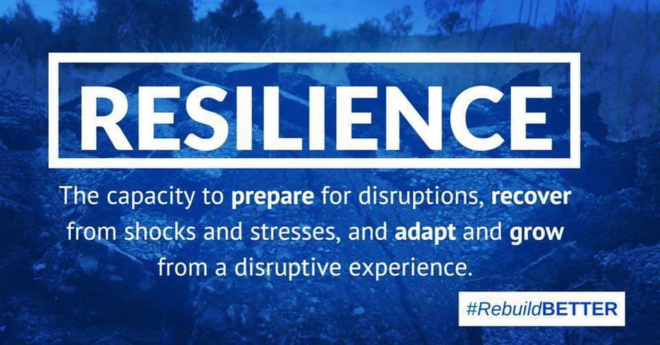 DelPalaci's tweet photo. 💪🙋‍♀️✅👆🧠✈⭐⭐⭐⭐⭐💋 https://t.co/qWXeShP0CH