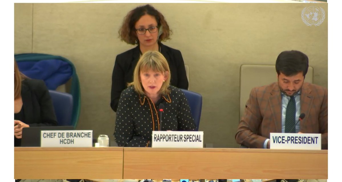UofMHRC's tweet photo. Happening now: @UofMHRC &amp; @UofMNLawSchool
professor @NiAolainF presenting her annual report to the 43rd session of United Nations Human Rights Council. Watch live: https://t.co/VxSct0mLTm https://t.co/OwFaR6iGFz