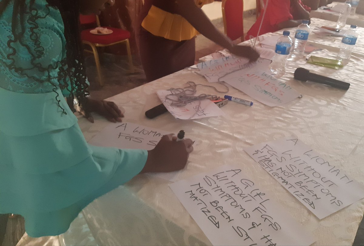 Insightful two days here in Ogun, hearing from frontline health workers and #NTD experts about #FGS. #Participatorymethods were used to raise awareness, identify ways to strengthen health systems and improve the lives of women and girls. @Dr_OluwoleAS @NTDCOUNTDOWN @Kim_Ozano