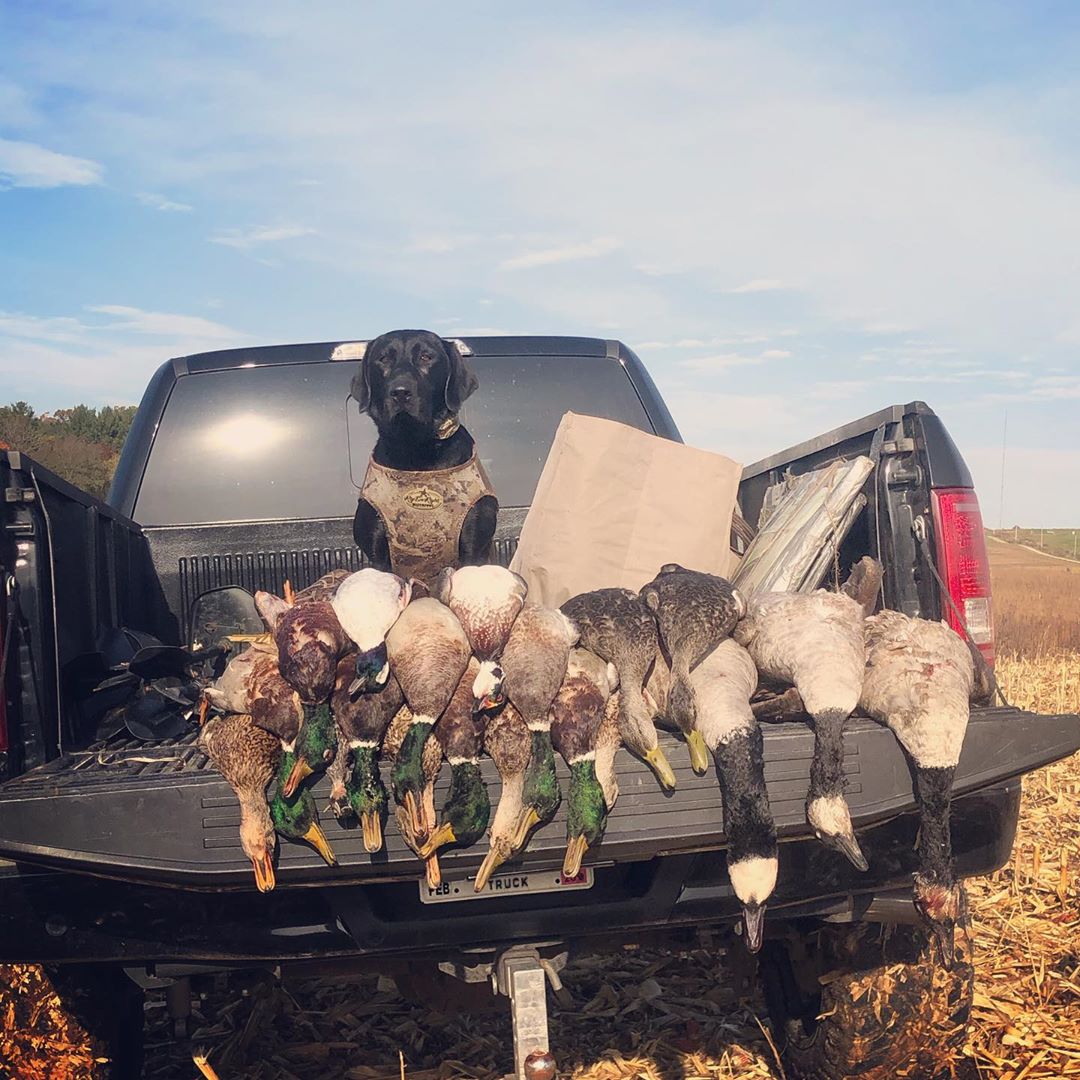Cindergear's tweet photo. @trumannicksic02 Hammer down. https://t.co/LtiPN6j2lX