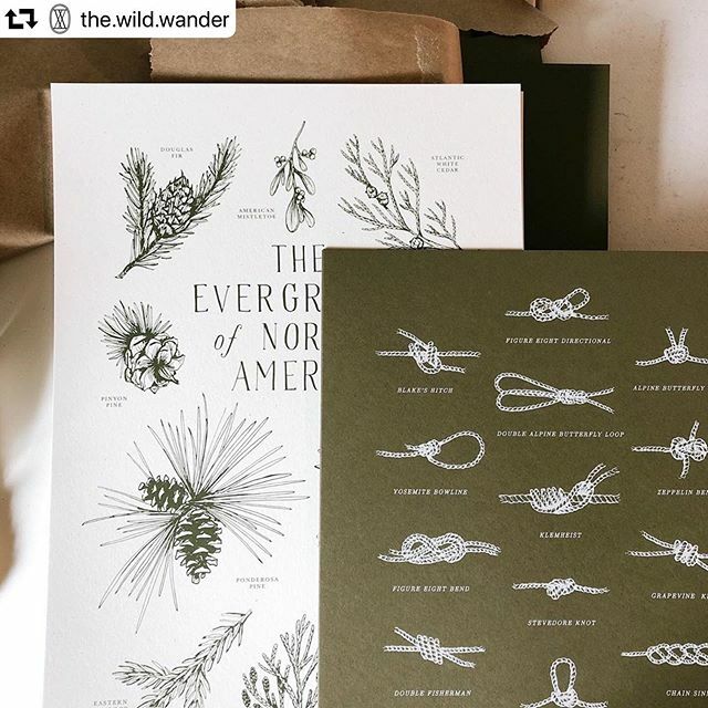 Beautiful prints for @the.wild.wander 🌿
#repost @the.wild.wander
・・・
I think after getting these back in I’ve finally got everything back in stock after the holidays! Always nice to see this pair together 🌲
#thewildwander #calledtobecreative #wil… ift.tt/3asEKeV