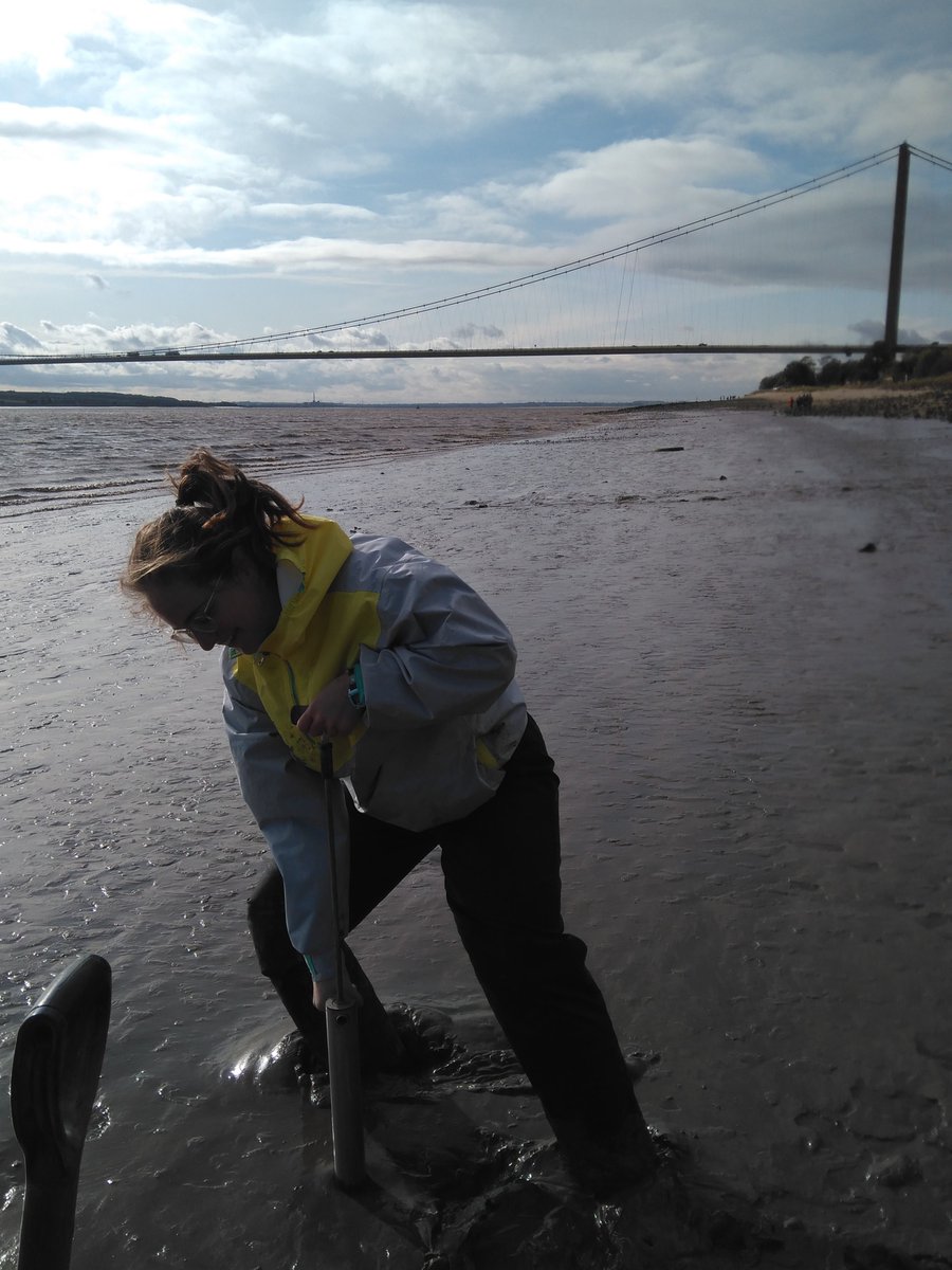EEIatHull's tweet photo. My first step is to specify key species in the coastal food web at potential risk of microplastic ingestion. A Hessle foreshore visit was the perfect opportunity to get a little muddy and take some sediment cores for microplastic analysis in the lab. @FeeTenbrink #IWD2020 https://t.co/byTHeNFHDM