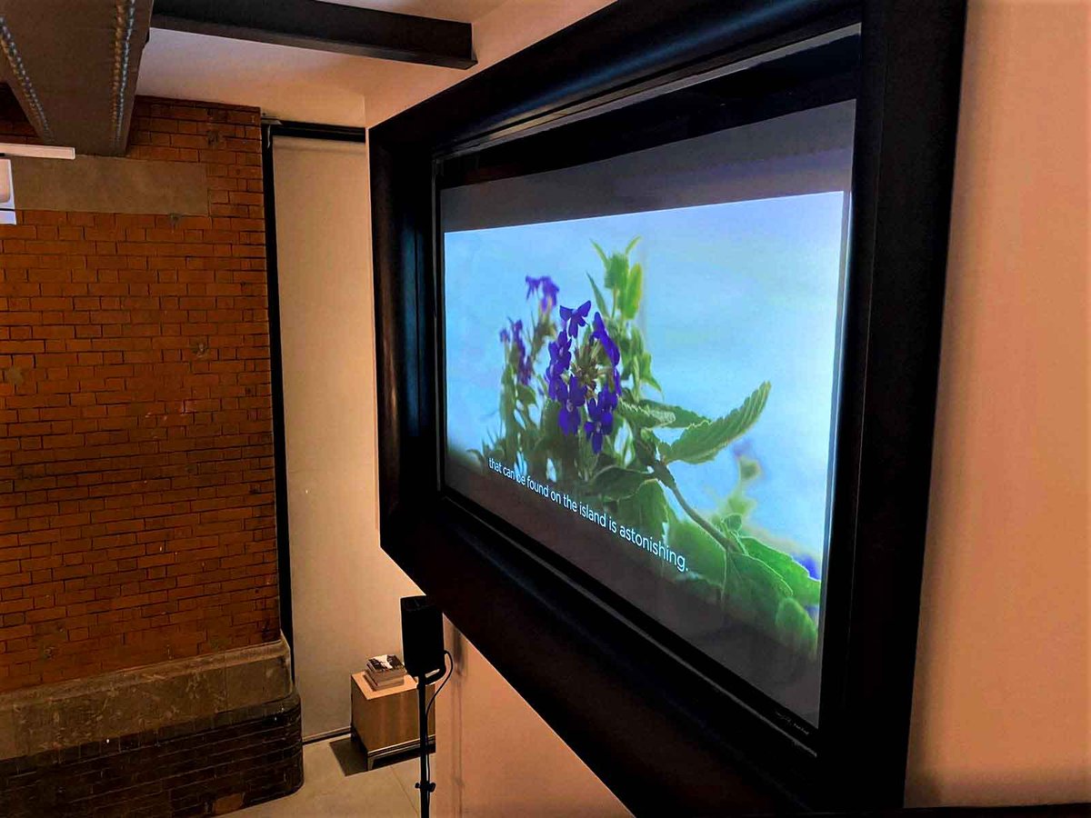 Rockit Event tweet media