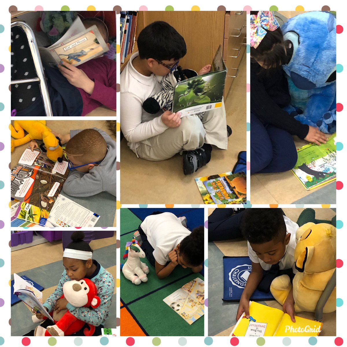 A_Groff13's tweet photo. I was soo busy I forgot to post yesterday!! We had an If I Ran a Zoo theme with stuffed animals!! Loved seeing their increased engagement just by adding a stuffed animal to their reading routine!! #readreadreadandloveit💗 https://t.co/iK1iKDEcv3