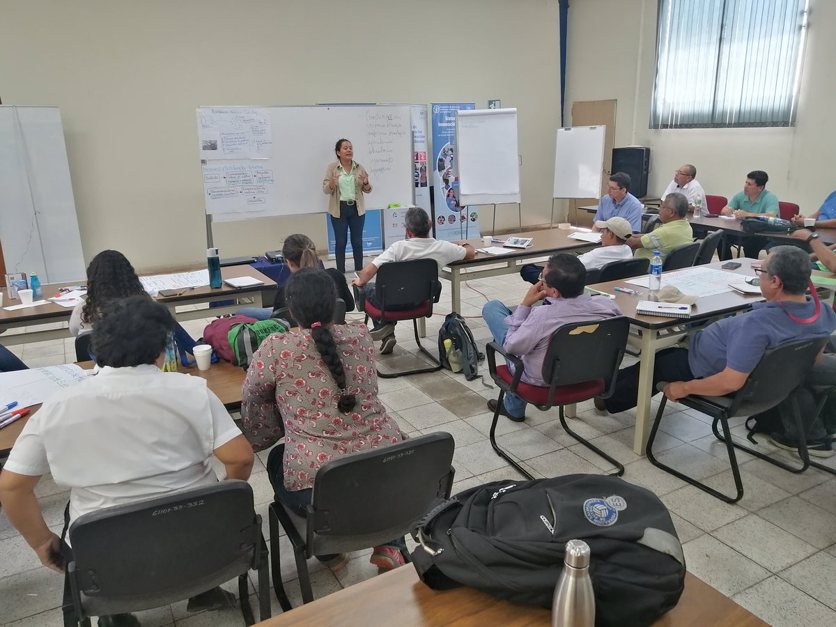 FAOElSalvador's tweet photo. #EnDesarrollo técnicos extensionistas del @CENTAELSALVADOR y técnicos de proyectos de @FAO 🇸🇻 en taller sobre la Facilitación de la #Innovación a través de la investigación y la extensión agrícola
-
-
@FAO
@AICSSanSalvador 🇮🇹
-
-
#DesarrolloDeCapacidades 💪🏻
#CDAIS https://t.co/fMMUwSYbt8